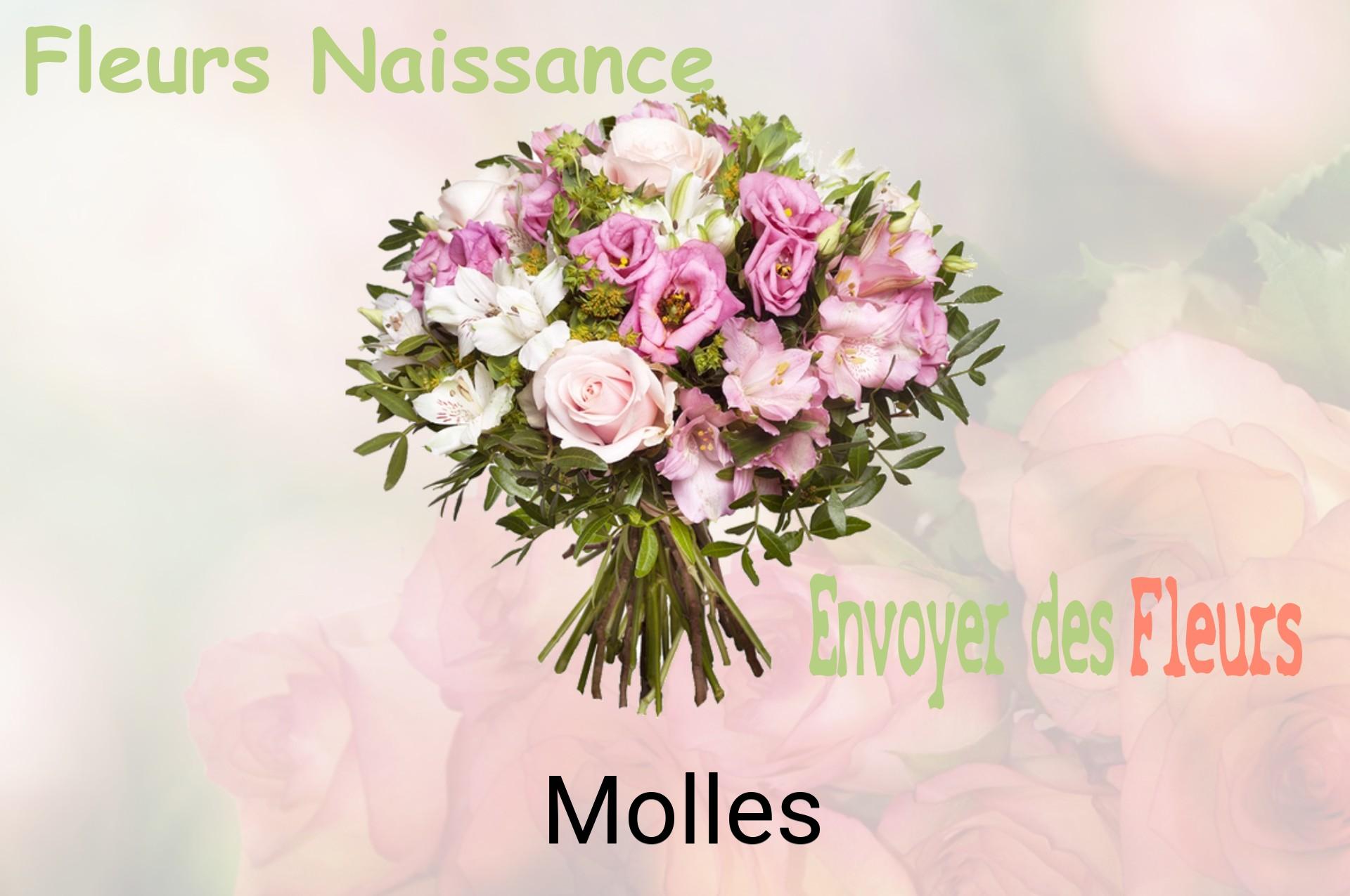 Bouquet de fleurs de naissance livré à Molles