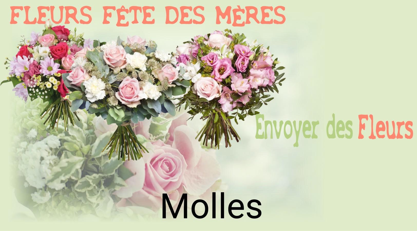 Bouquet de Fête des Mères livré à Molles